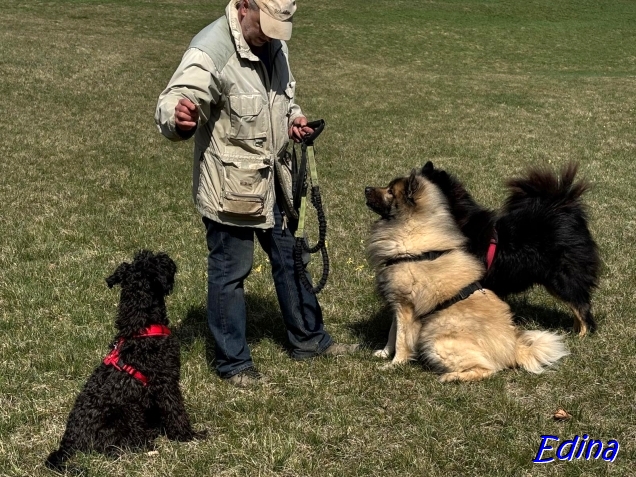 11.4.2025 - Manöverbesprechung